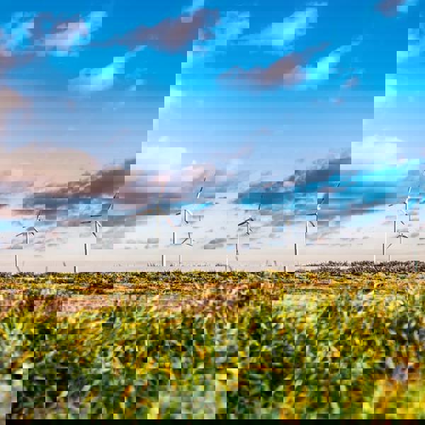 Photo 1454880386746 9D08a84f4f91